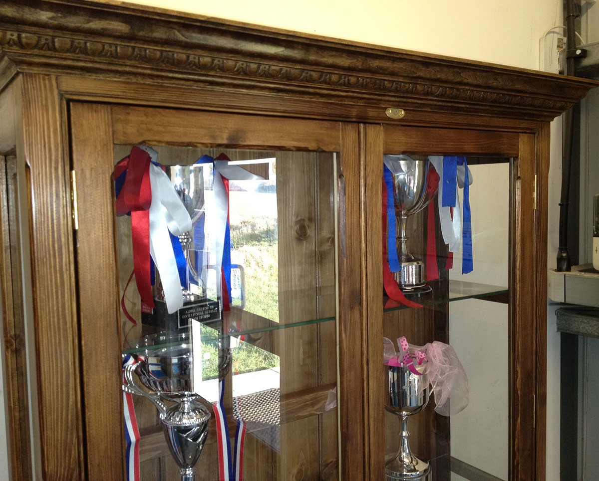 Bespoke trophy cabinet